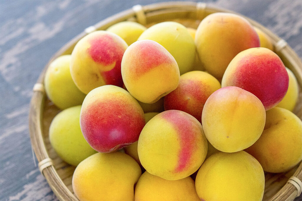 ありもとファームについて