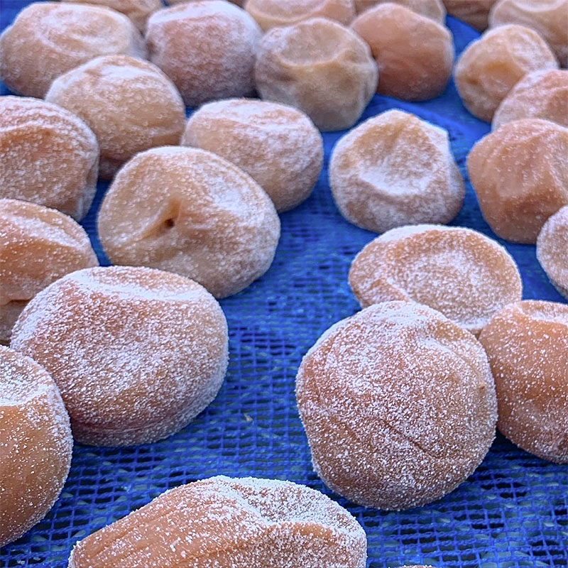 梅干しができるまで